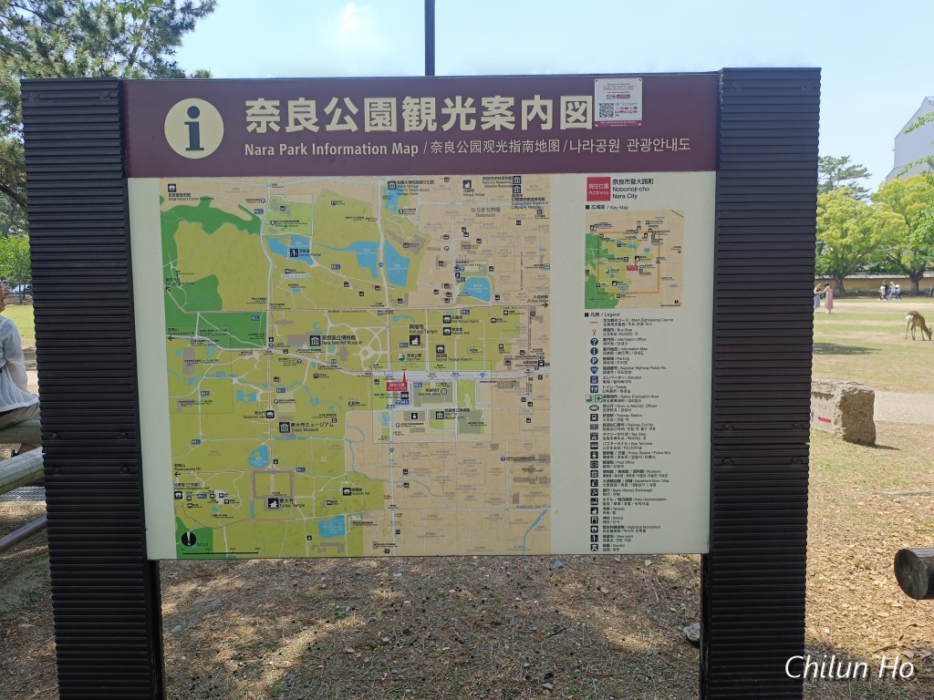 IMG_20250515_102817