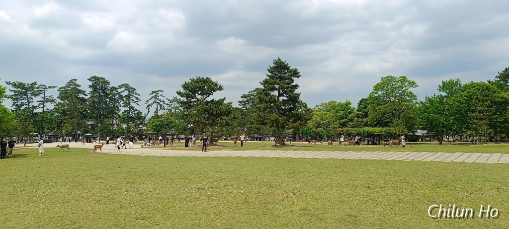 登大路町