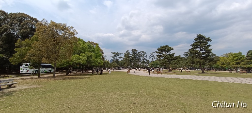 登大路町