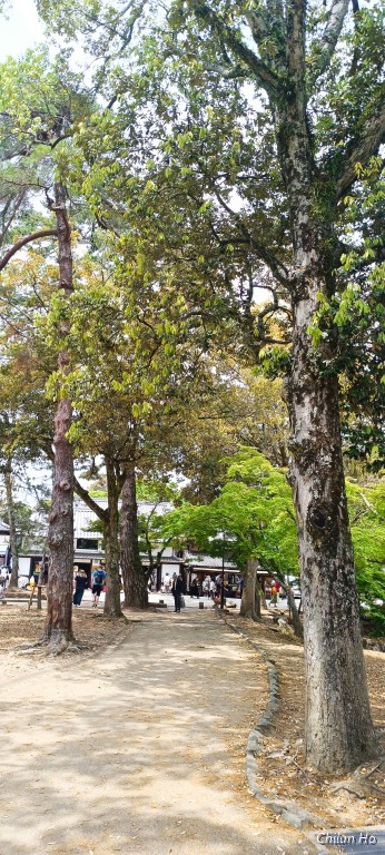 Tokyoan-Honten