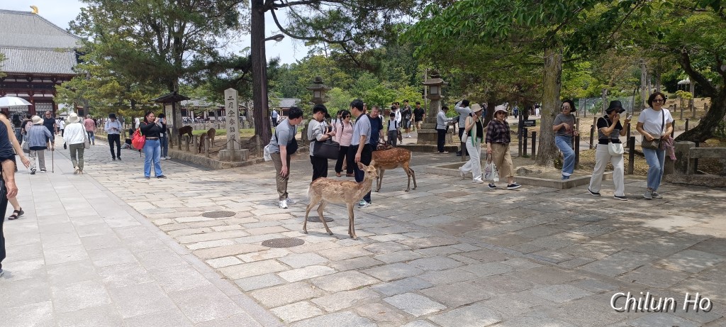 東大寺
