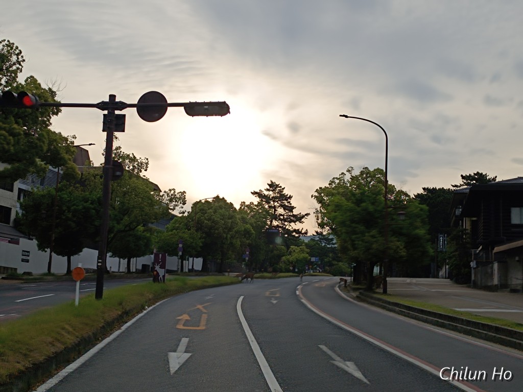 登大路