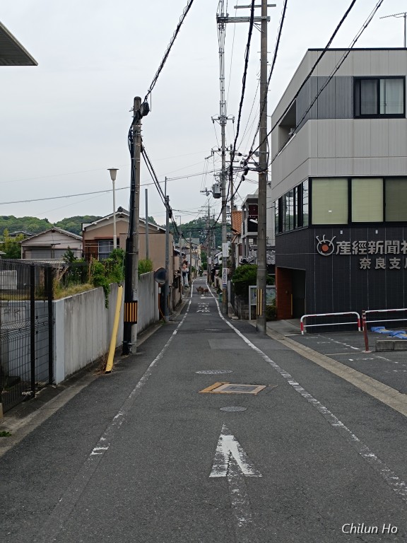 登大路