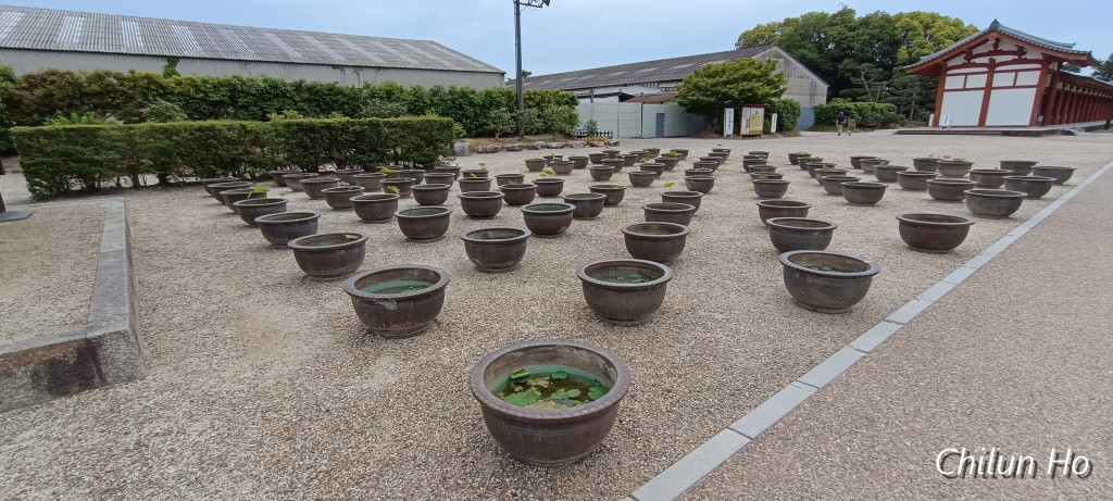 食堂跡