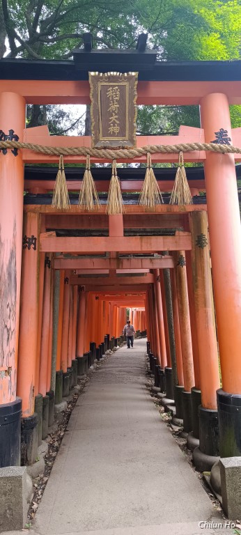 お山右廻り道