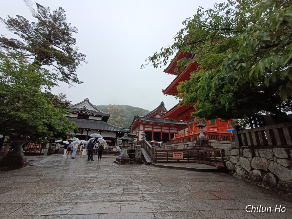 IMG_20250517_075458