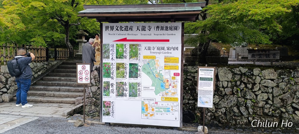 竹林の道