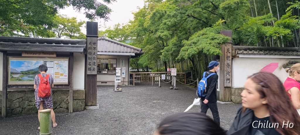 竹林の道