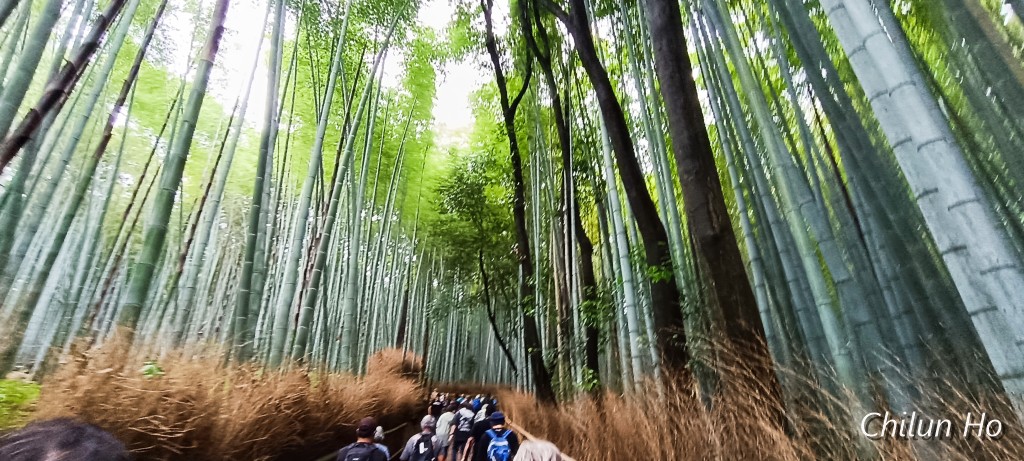 嵯峨天龍寺芒ノ馬場町