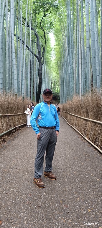 竹林の道