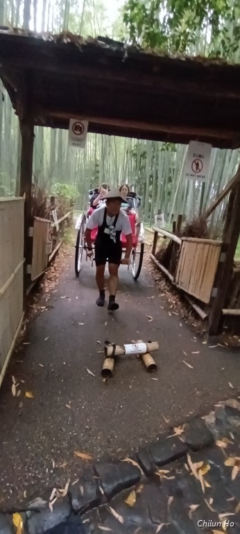 竹林の道