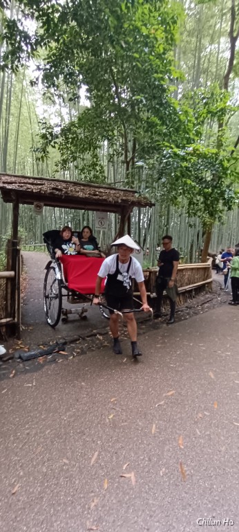 嵯峨嵐山停車場線