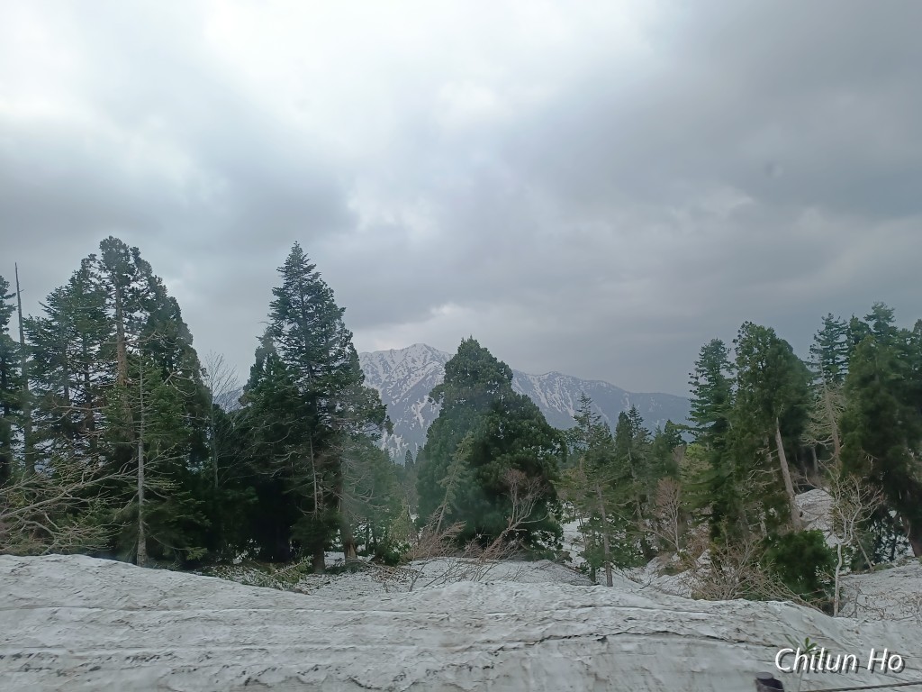 IMG_20250520_080418_1