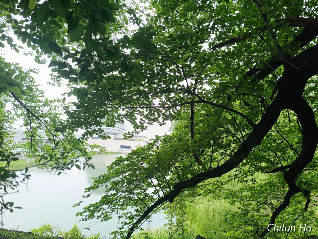 名古屋城