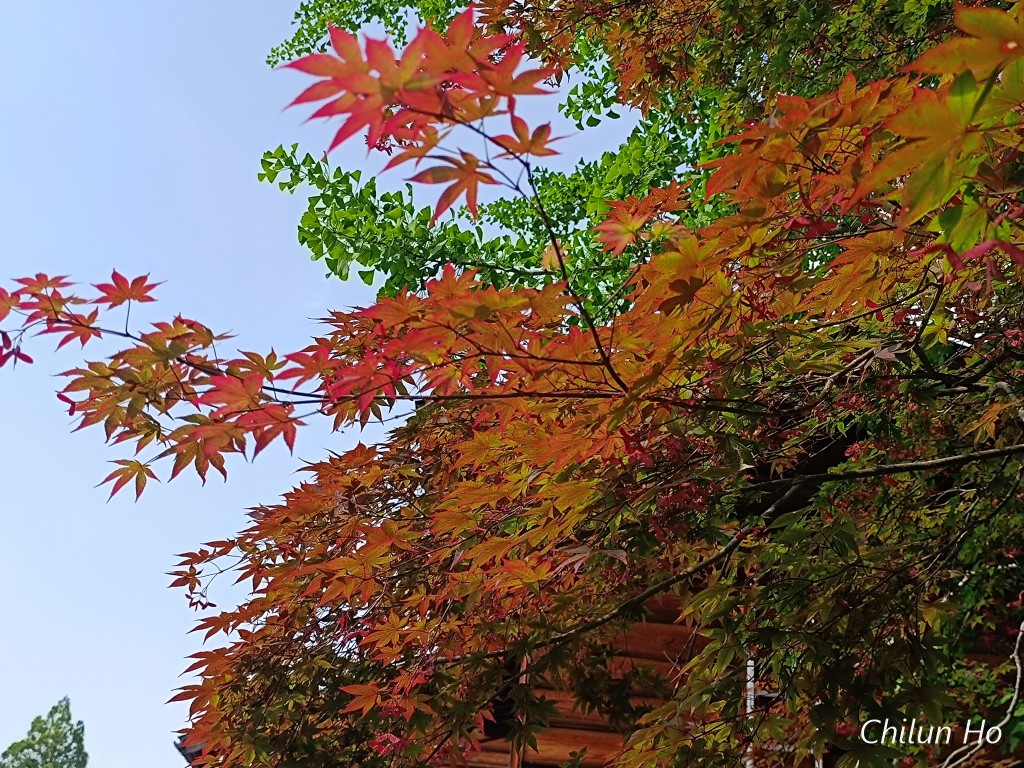 荻町