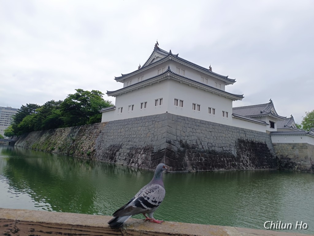 駿府城公園