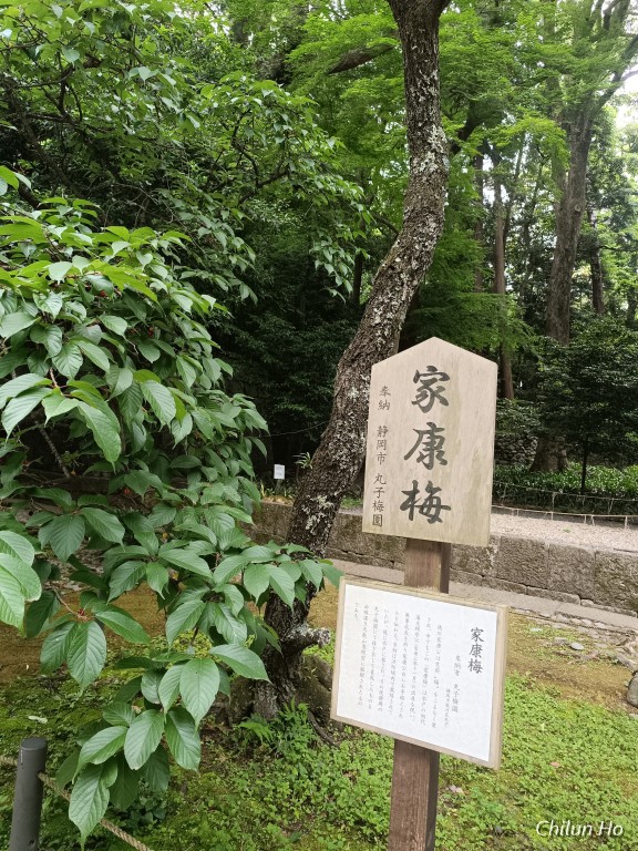IMG_20250524_094654