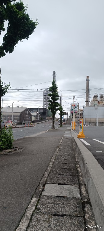 富士見大通り
