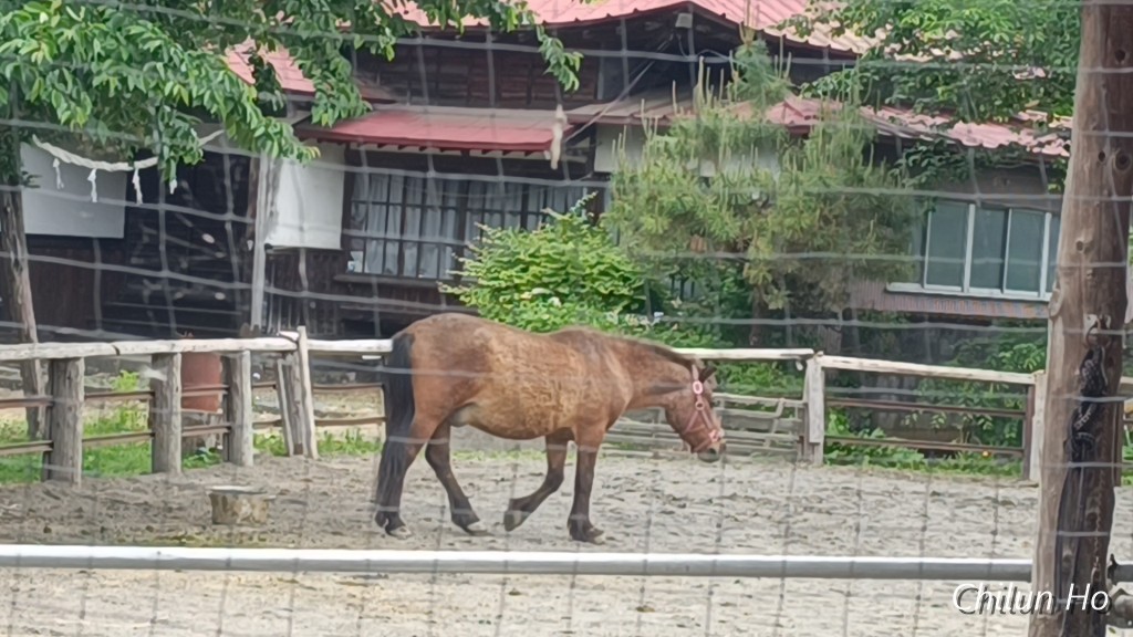 新町二丁目