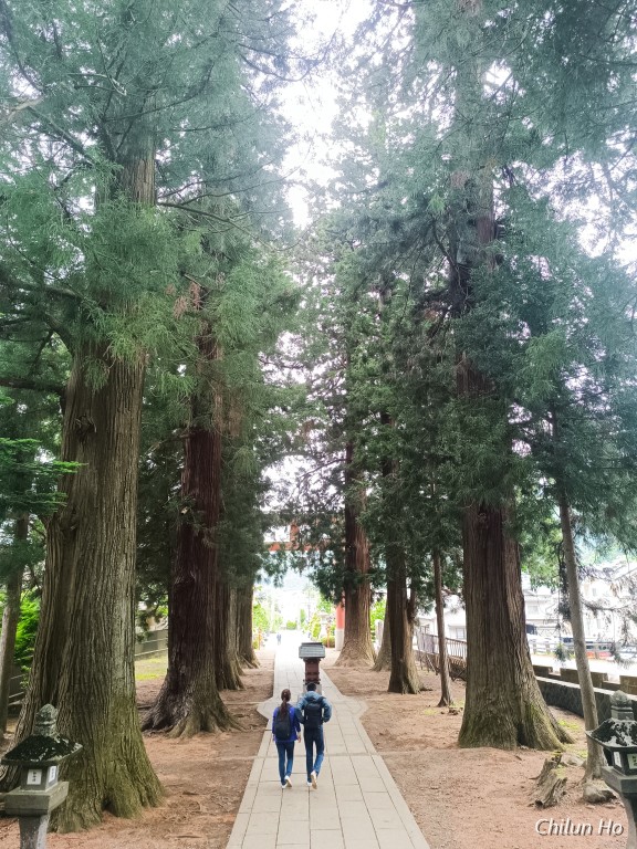 河口