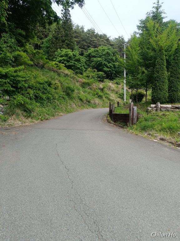 河口