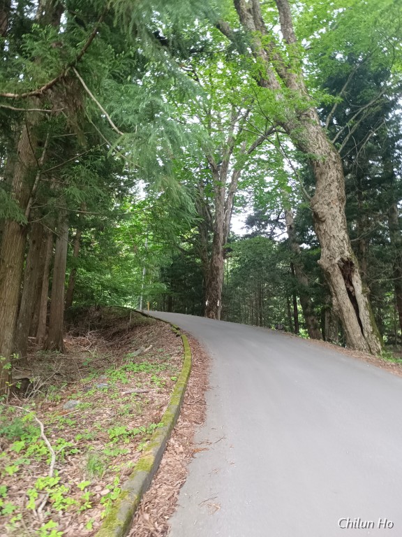 河口