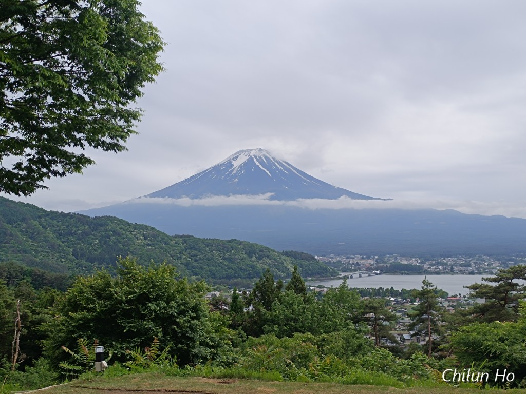 河口