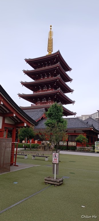 勢至