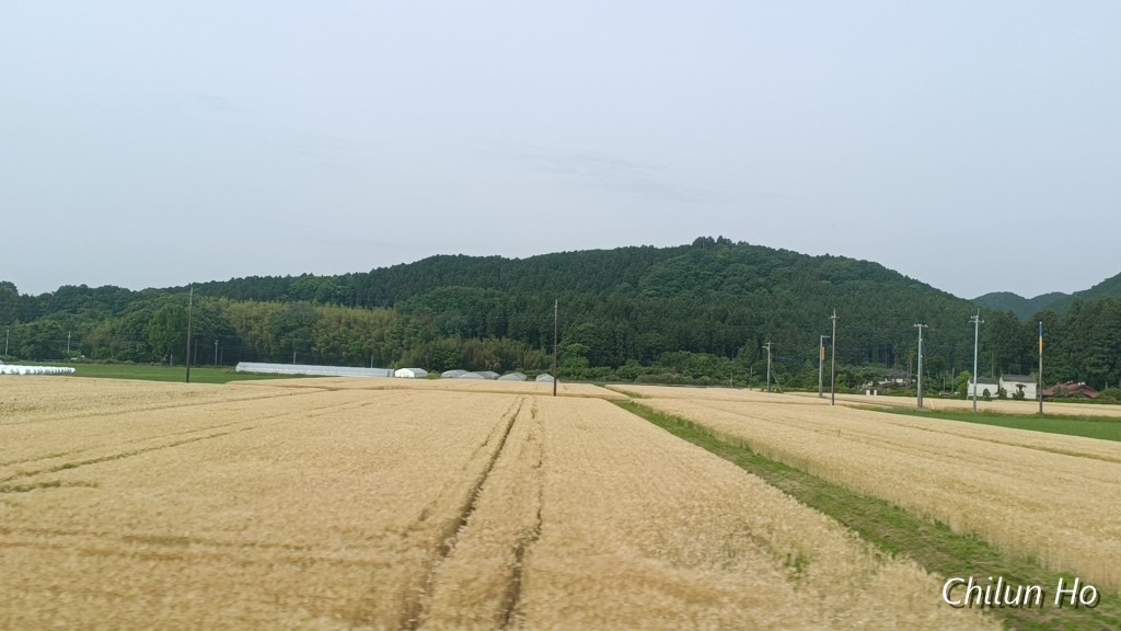 IMG_20250529_080228