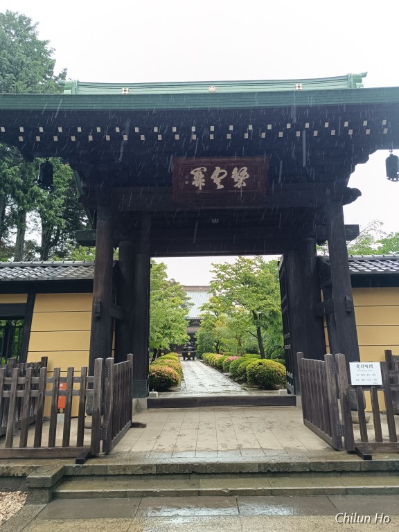 豪徳寺