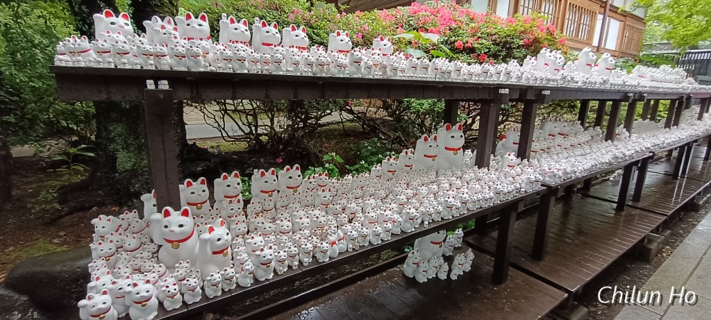 豪徳寺