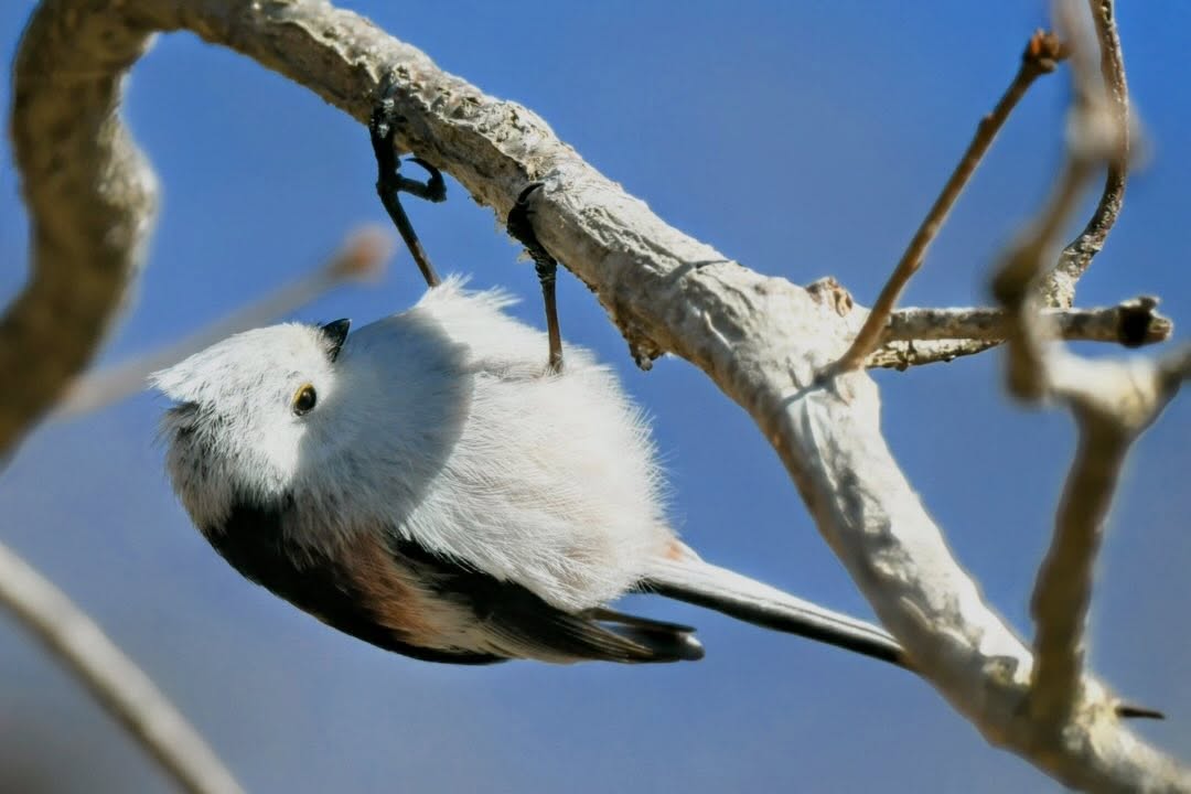 641072166_18455257909103879_8501431736619711731_n