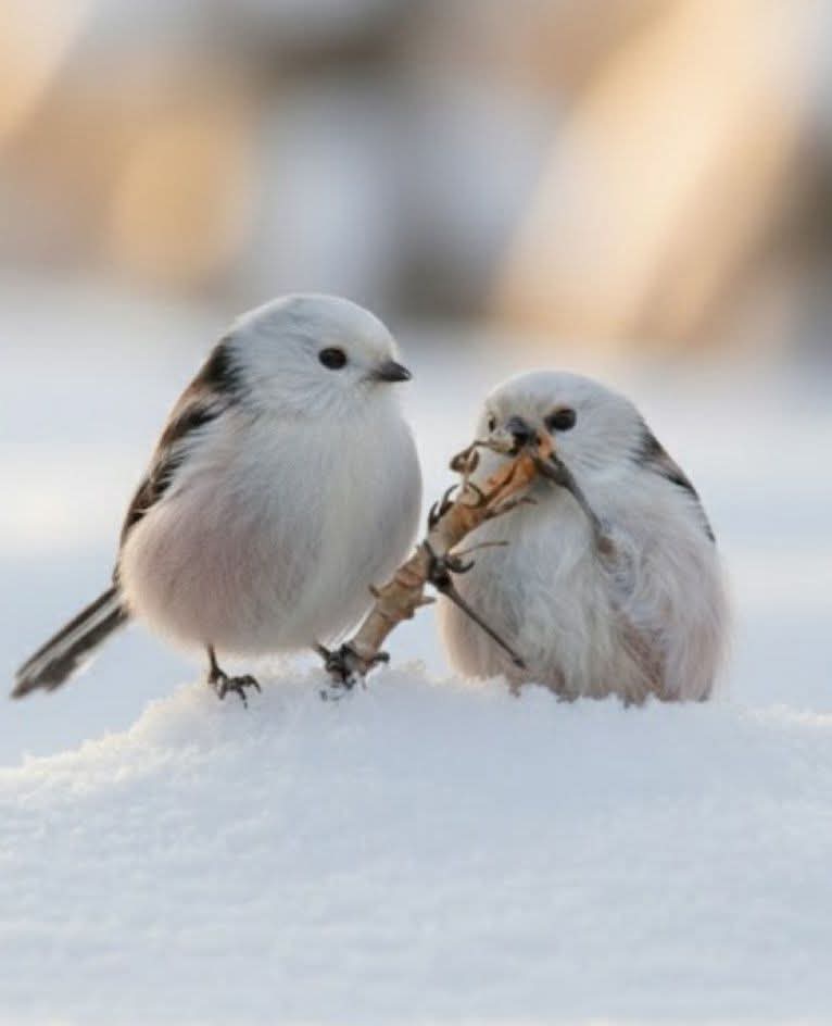 FB_IMG_1766201121691