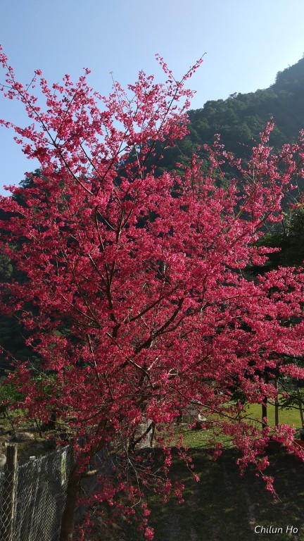 博愛里