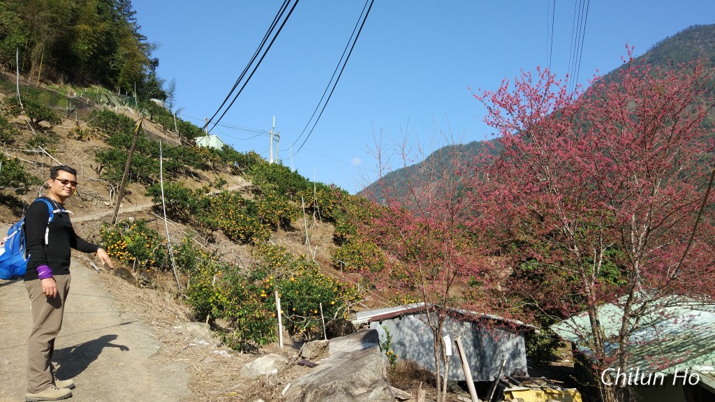 博愛里