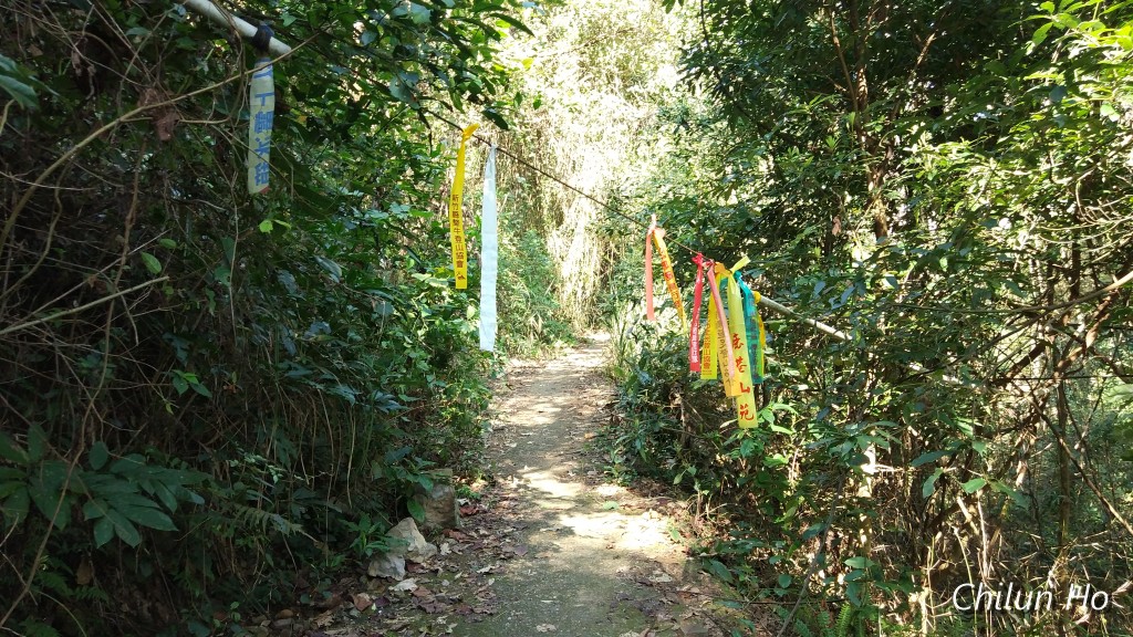 2018阿冷山照片 2018/02/18