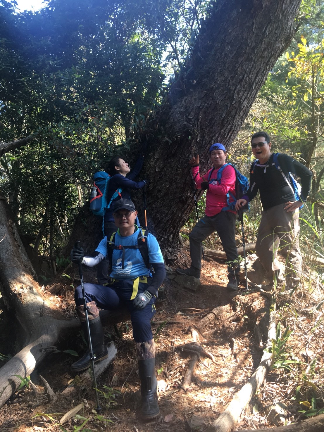 阿冷山_180219_0015