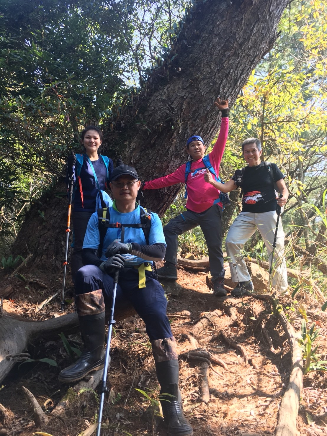 阿冷山_180219_0017