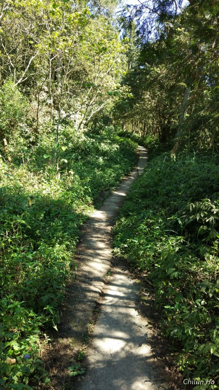 北大武山登山口聯絡道路