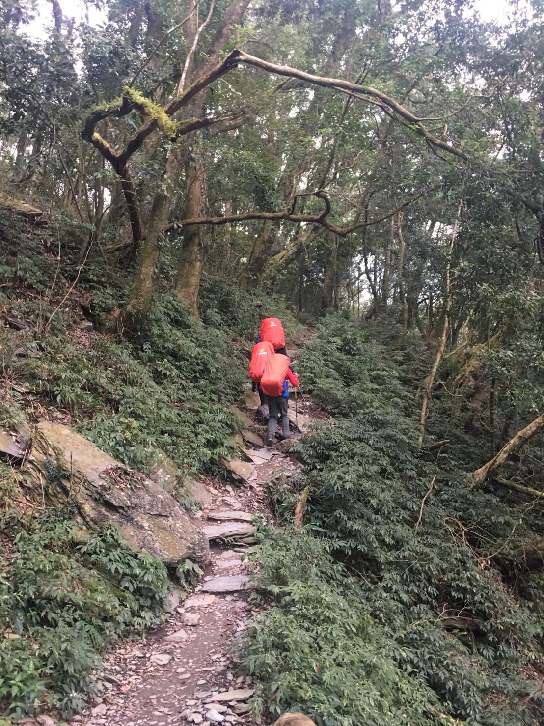 北大武之慢慢走_180313_0021