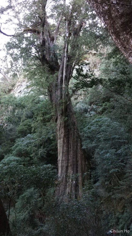 2018北大武山登頂照片 2018/03/12