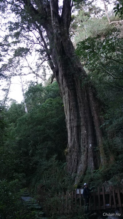 北大武登山步道