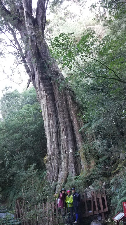 北大武登山步道