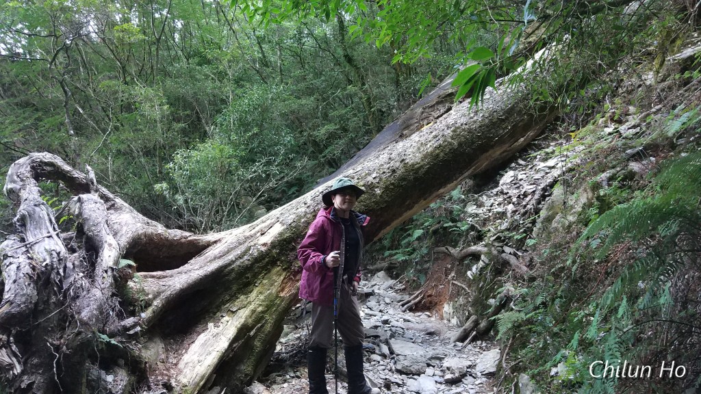 北大武登山步道