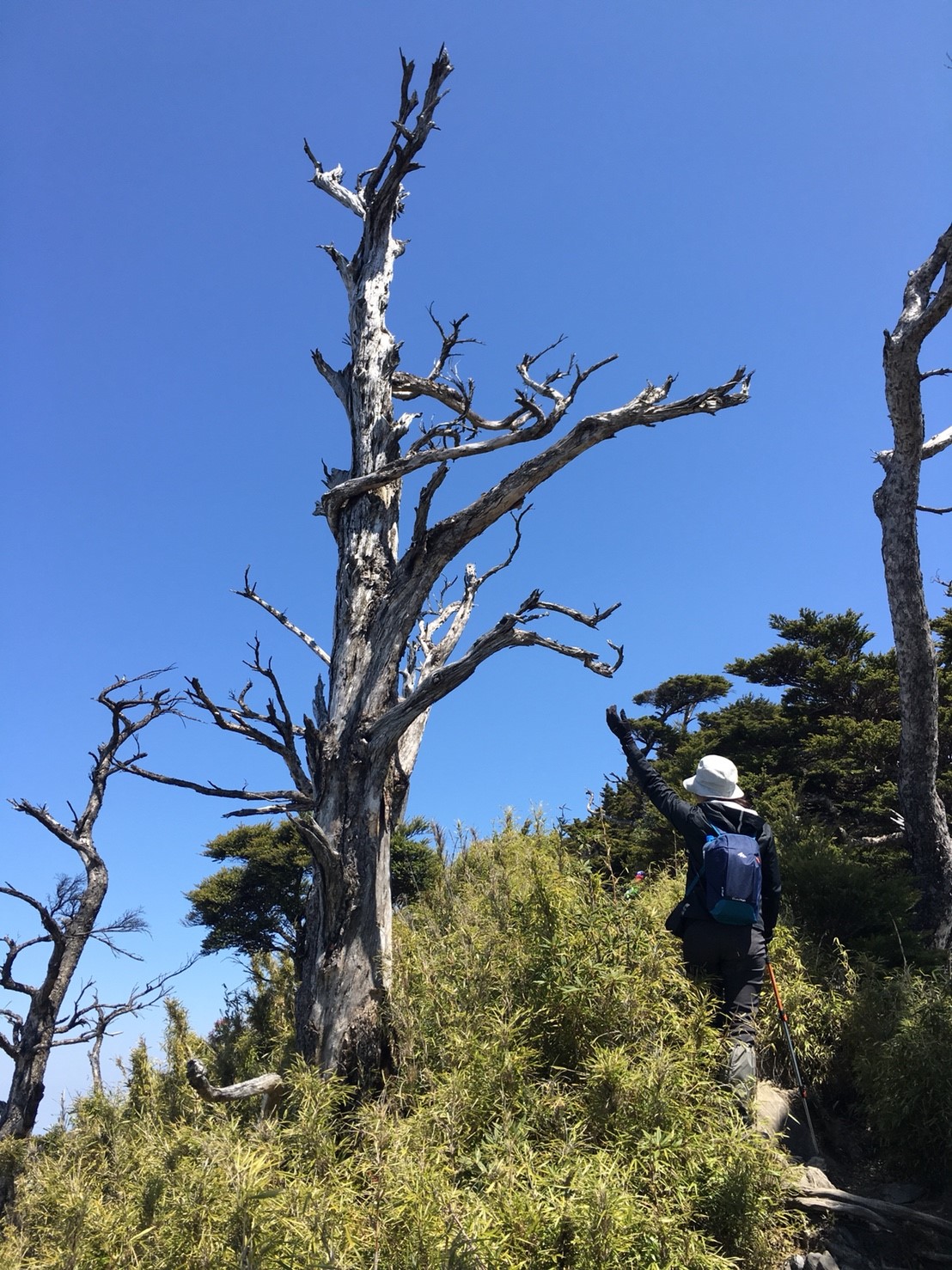 北大武之慢慢走_180313_0051