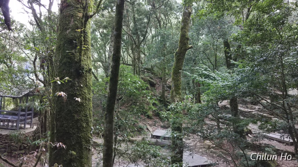 北大武登山步道