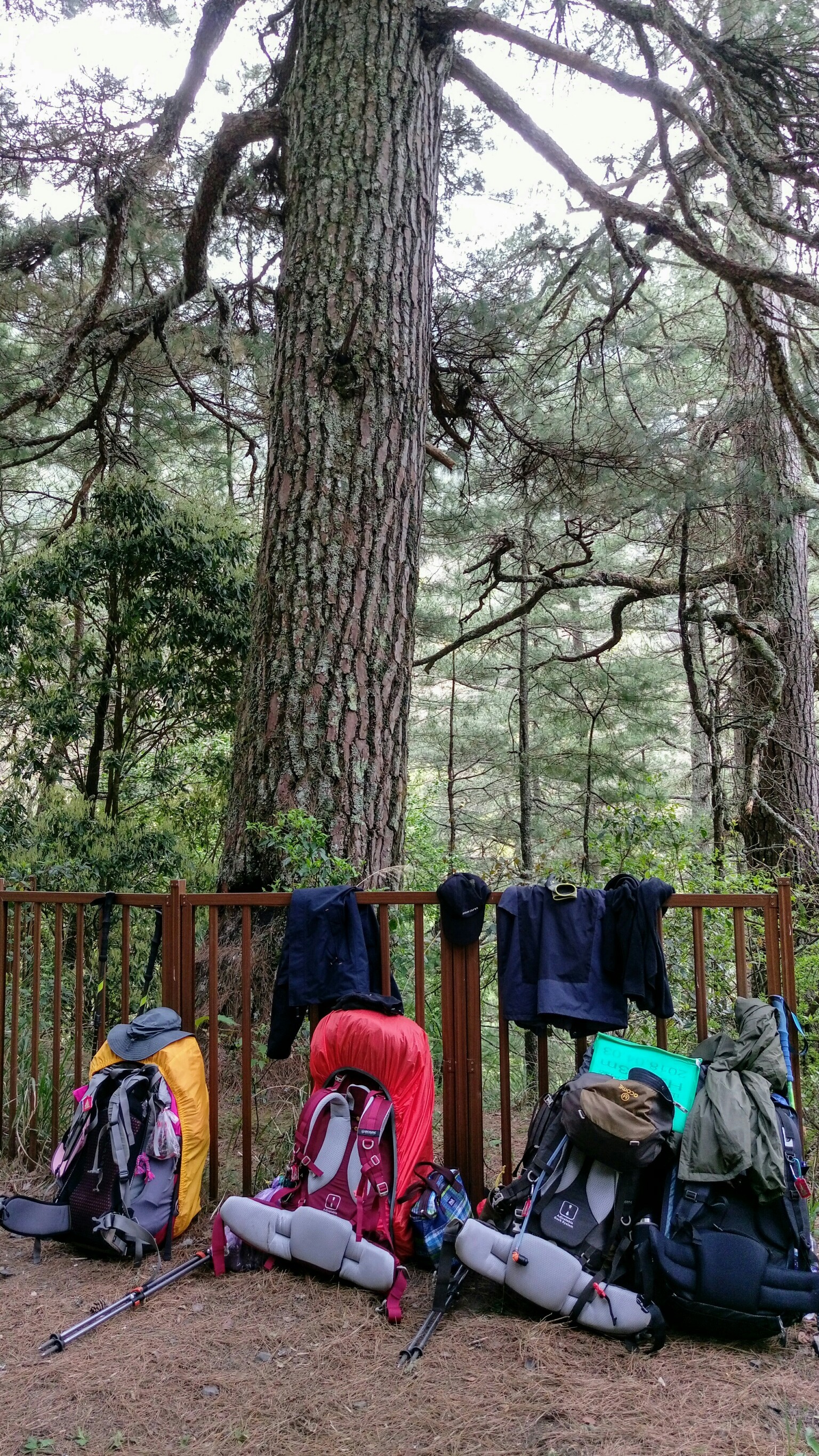 北一段_180410_0012