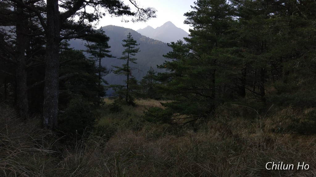 新雲稜山屋