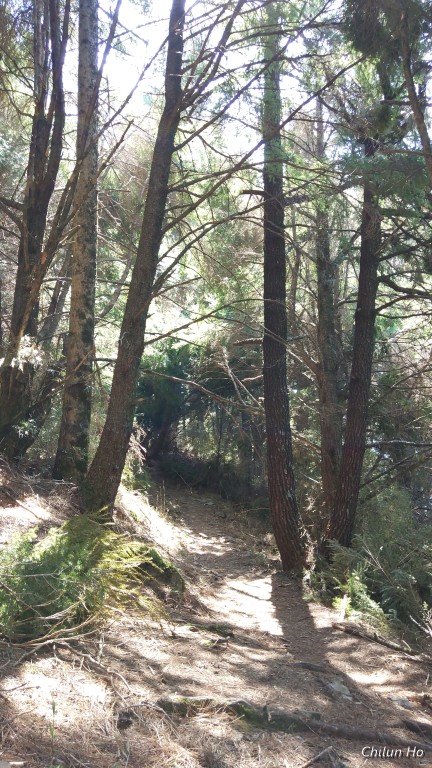 南湖大山北壁