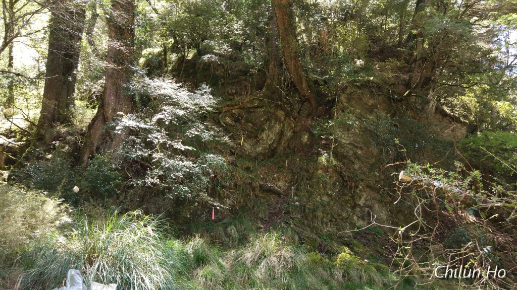 南湖溪山屋